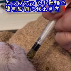 TERUMO テルモシリンジ1ml を5本　小動物の強制給餌におススメ‼️の画像