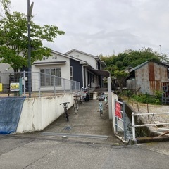 武道体験してみませんかの画像