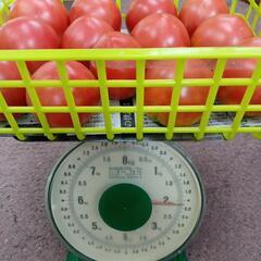 訳あり完熟トマト🍅　2kgの画像