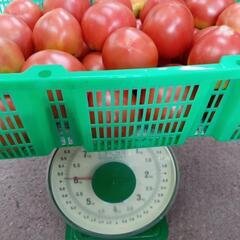 訳あり完熟トマト🍅　6kgの画像