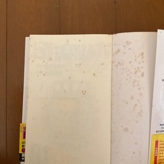 SHONA Nセブンの画像
