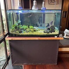 大型ガラス水槽フルセットの画像