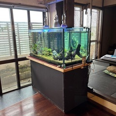 大型ガラス水槽フルセットの画像