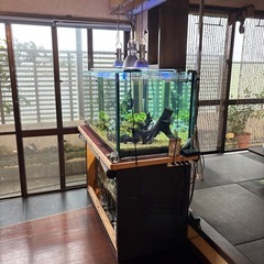 大型ガラス水槽フルセットの画像