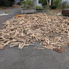 キャンプ用薪 小割り　10㎏当たりの画像
