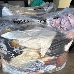 【早い者勝ち】洋服袋の画像