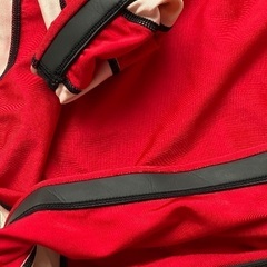 アメリカ購入★hurley ラッシュの画像
