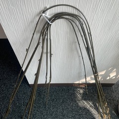 胡蝶蘭の支柱 園芸　棒　の画像
