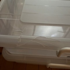 ベッド下収納ケース　2個の画像