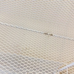 キャスター付　スリムワゴンの画像