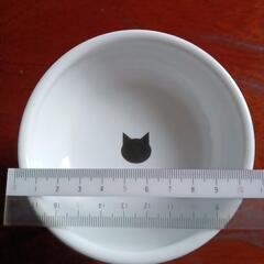 【お取り引き相手決定】猫壱　猫御飯食器の画像