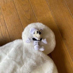 ディズニーグッズの画像