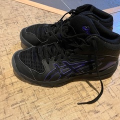 22cm バッシュの画像