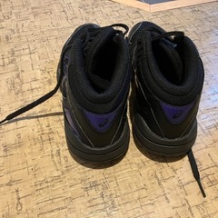 22cm バッシュの画像