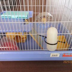 値下げ　ハムスターの飼育ケージ　飼育ケース　金網タイプ　の画像