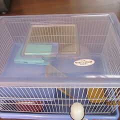 値下げ　ハムスターの飼育ケージ　飼育ケース　金網タイプ　の画像