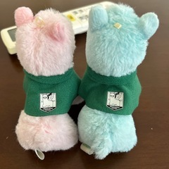 アルパカ（進撃の巨人？）の画像