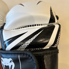 VENUM スパーリング　グローブの画像