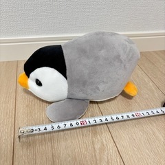 四国水族館　ペンギン　ぬいぐるみの画像