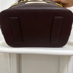 DIANAの画像