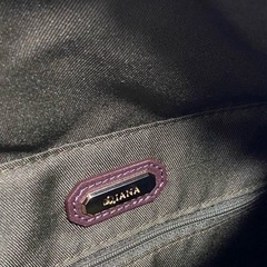 DIANAの画像