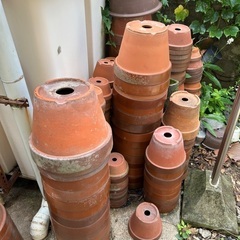 まだまだあります大量の植木鉢の画像
