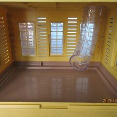 値下げ　ハムスター飼育セット　家型飼育ケージ、飼育ケース　2階建てハウス　餌等付の画像