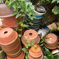 まだまだあります大量の植木鉢の画像