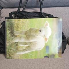 FURLA ショルダーバッグの画像
