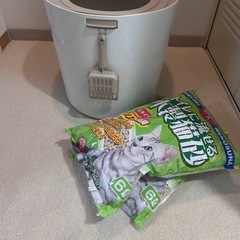 上から猫トイレ&猫砂の画像