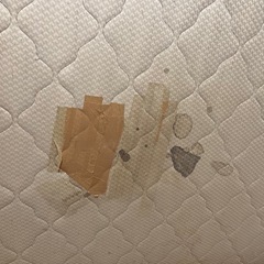 フランスベッドダブルマットレスのみの画像