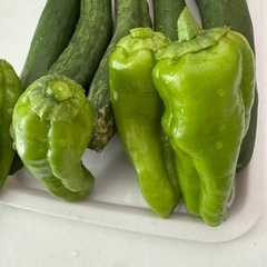 お取引先決まりました夏野菜　胡瓜　ピーマンの画像