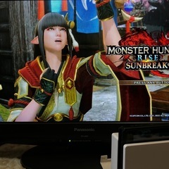 2011年製　Panasonic VIERAの画像