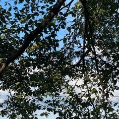  🧘‍♀️2025年9月21日(日)フローyoga class開催🌾の画像