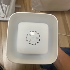 はしたての画像