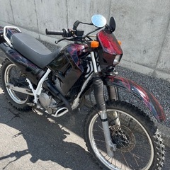 早い方は値下げします❗️ホンダ XL250の画像