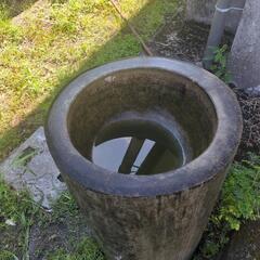 差し上げます。メダカ良さそうです。古い石臼？の画像