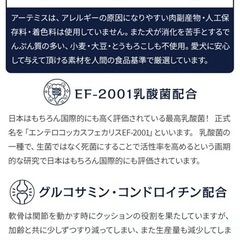 未開封ドッグフードの画像