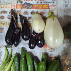 【お取引先決定済】朝採り野菜とかぼちゃＡの画像