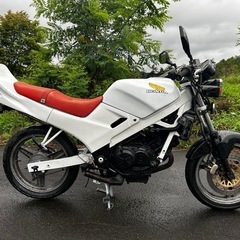 【クワカブ様受渡者決定】VTZ250‼️レストアベース‼️の画像