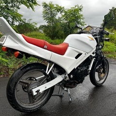 【クワカブ様受渡者決定】VTZ250‼️レストアベース‼️の画像