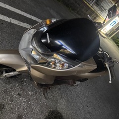 pcx28の画像