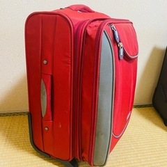 2つ種類のキャリーバッグ の画像