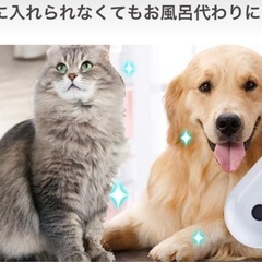 新品　電動スチームブラシの画像