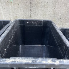 メダカ　飼育　コンテナ　ボックス　水槽　黒　繁殖の画像