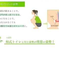 トイレスムーズでお通じを楽に!（美品）の画像