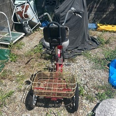 四輪車　中古品の画像