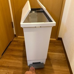 ニトリゴミ箱２つセットの画像