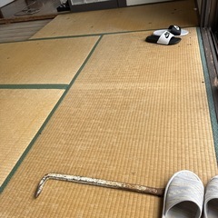畳の画像