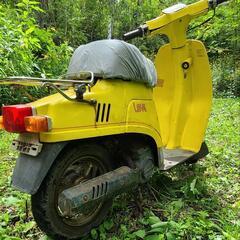 原付スクーター50cc  スズキラブの画像